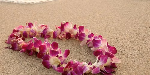 Aloha Luau