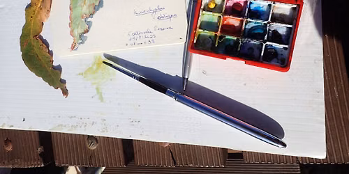 Hobart Nature Journalling Group-September