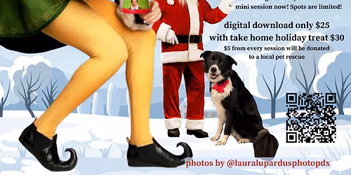 Photos With Buddy The Elf (& Santa)