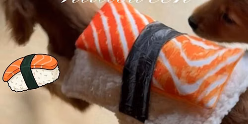 HALLOWEEN THEMED PUPPY YOGA