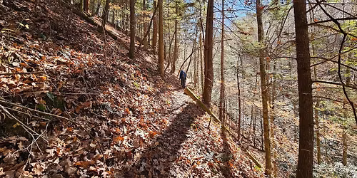 Advanced backpacking along the Sheltowee Trace