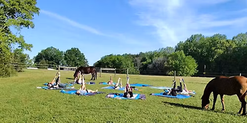 Equine-Energy-Yoga