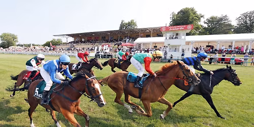 Aufgalopp und Familienrenntag der SWM Magdeburg 18.04.2026