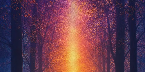 Group Past Life Regression & Pre-Life Planning Journey
