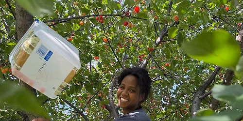 Salem Garden work party
