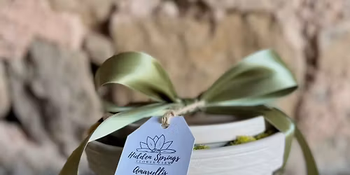 Christmas Amaryllis Bulb Workshop