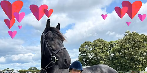 Old skool Fun Showing Show