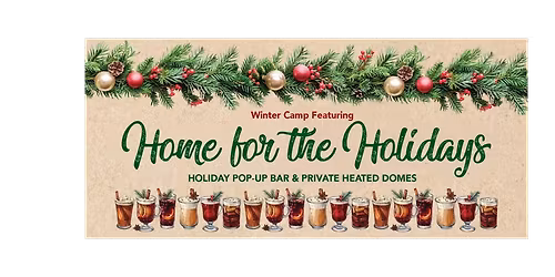 Parking Home For The Holidays