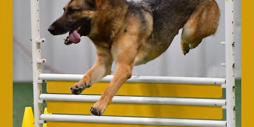 CPE Agility Trial 
