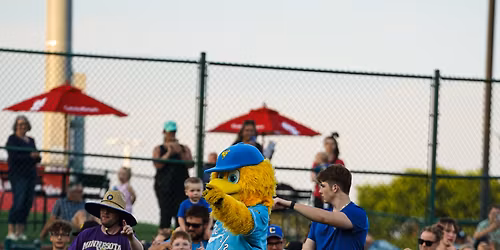 Sioux Falls Canaries at Gary SouthShore RailCats at U.S. Steel Yard