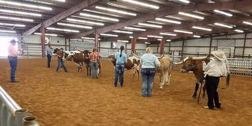 2026 CTTLA Spring Fling Show 