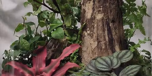 Exmouth Makers Market