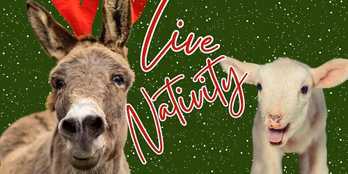 Live Nativity