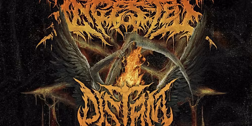 Ingested Evisceratour 2025