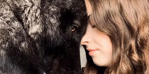 Initiation \u00e0 la communication animale