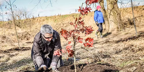 Volunteer at Pennypack on the Delaware Park