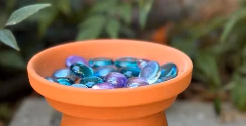 Spring Break Workshop (Midlothian): Bee Bath