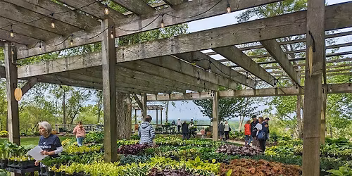 Hostas on the Bluff Opening Day 2026