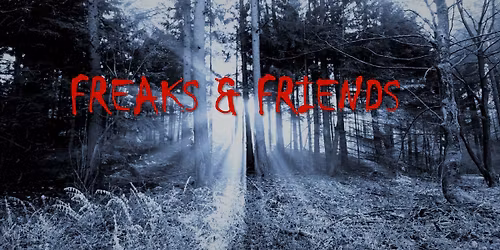 FREAKS & FRIENDS I New Dark Cold Synth Wave, Post Punk, Indie, Gothic, Batcave, Minimal, NDW, EBM