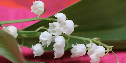 Cr\u00e9ation de brin de muguet origami, avec ses clochettes phosphorescentes