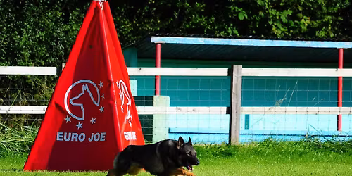 OG Corrib Club IGP Trial 