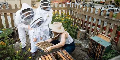 Honeybee 101 - Hive Tour @ Honeybee Centre