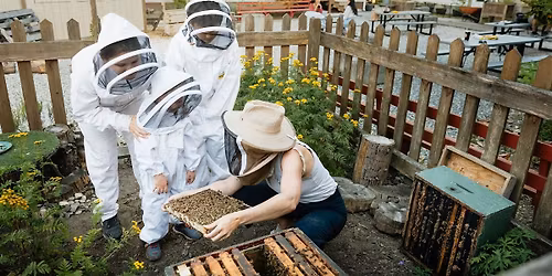 Honeybee 101 - Hive Tour @ Honeybee Centre