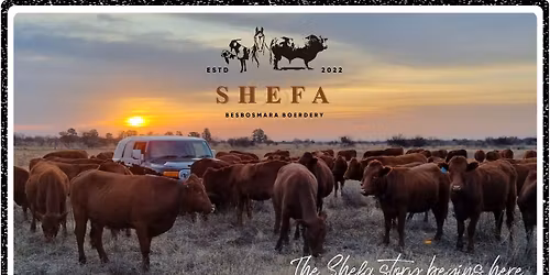 IVG National Auction '26