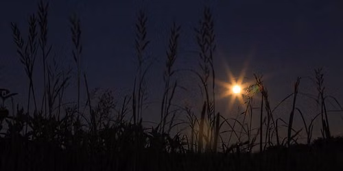 Sunset Night Hike