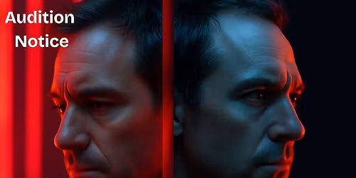 Auditions for A Steady Rain