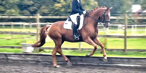 Alison Calvert Dressage clinic