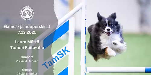 TamSKin joulukuun hoopers- ja gameskisat