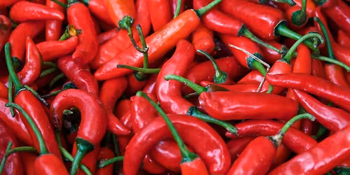 19th Annual Downtown Chili Cook-Off & Fall Festival