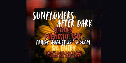 Sunflowers After Dark Featuring Midnight Exit