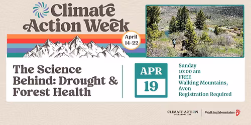 The Science Behind: Drought & Forest Health 