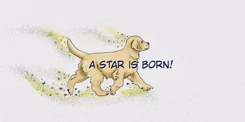 Inland Empire Golden Retriever Club Independent Specialty and Obedience and Rally Trail,