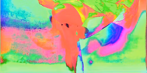 Nat Freedberg's Counterfeit Soul, Jen Trynin, Hilken Mancini & Melissa Gibbs at the Plough & Stars!