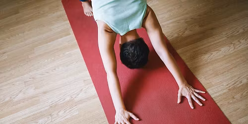 Nature\u2019s Solace: Winter Yoga in the Garden