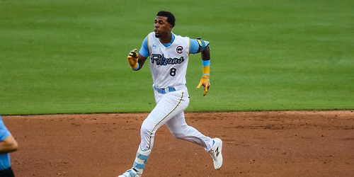 Myrtle Beach Pelicans vs. Wilson Warbirds