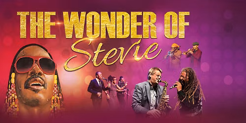 The Wonder Of Stevie