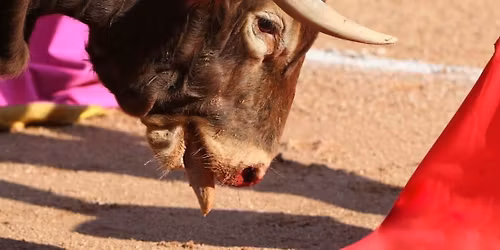 #StopCorrida - Rennes 35