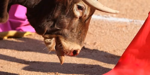 #StopCorrida - Rennes 35