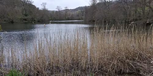 FREE - DURSLEY WOMEN WALKERS GROUP - Tinkley Gate - Woodchester 5 miles
