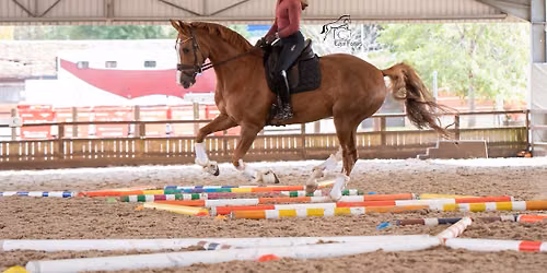 Polework clinic at Moreton Morrell College