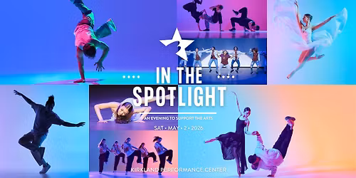 In The Spotlight: An Evening to Support the Arts