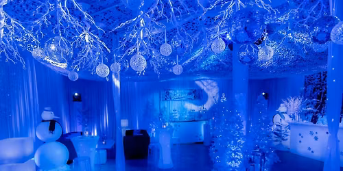 Luna Hair Winter Wonderland Gala