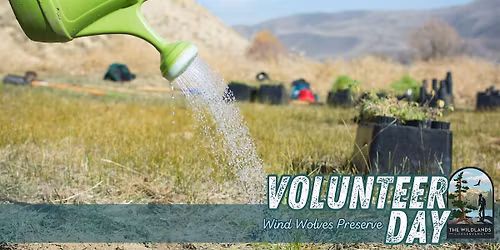 Volunteer Day: Plant Watering -  Wind Wolves Preserve