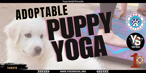 Adoptable Puppy Yoga + Social Hour