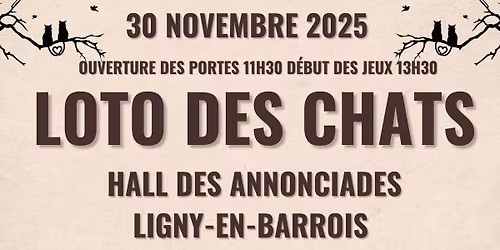 Loto de chat protect