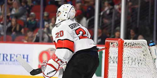 Iowa Wild vs. Charlotte Checkers